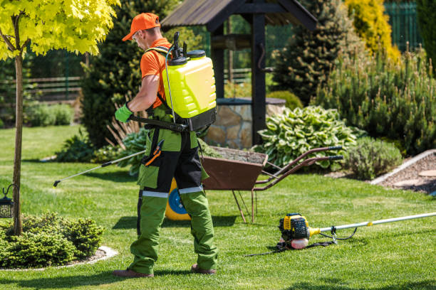 Best Bee and Wasp Removal  in Los Altos, CA